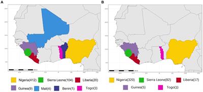 Intrasegmental recombination as an evolutionary force of Lassa fever virus
